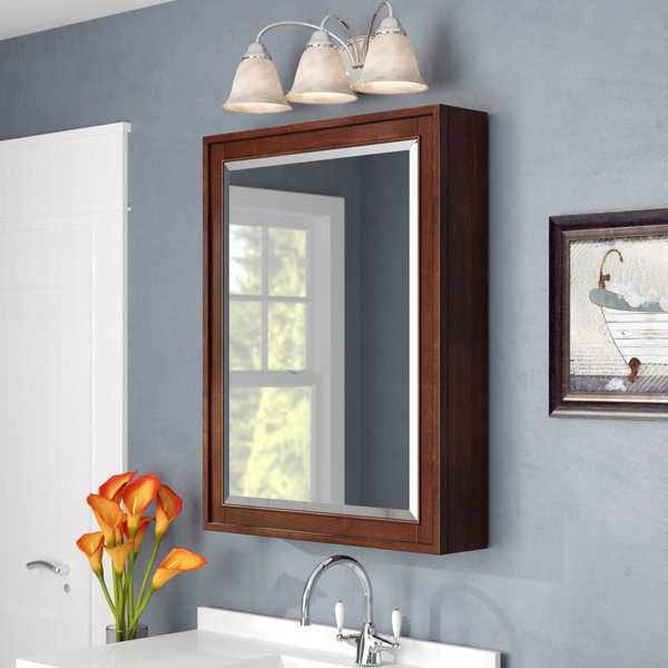 Lark Manor Charley Surface Mount Framed 1 Door Medicine with 3